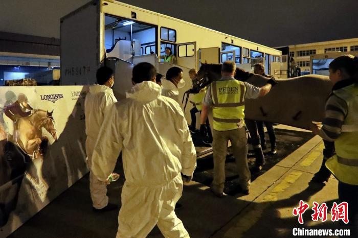 十周年新篇章：上海久事国际马术中心揭幕，上