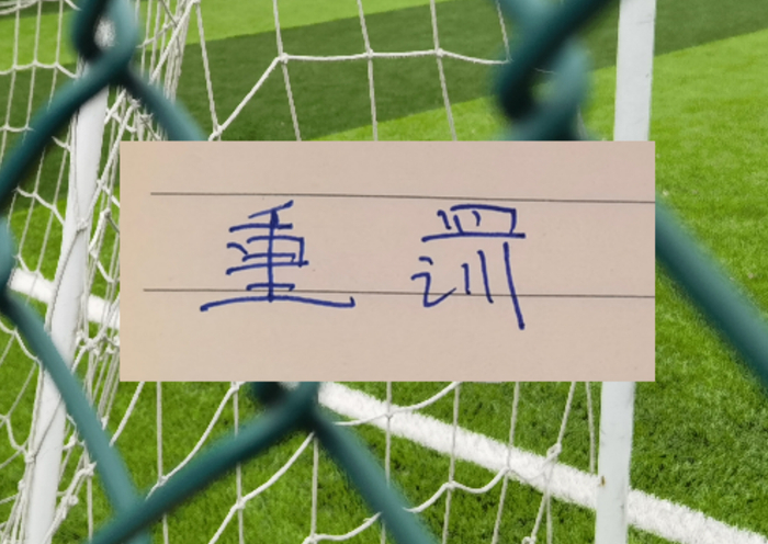 浙江队外援米特里策遭双重处罚停赛5场